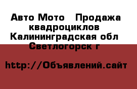 Авто Мото - Продажа квадроциклов. Калининградская обл.,Светлогорск г.